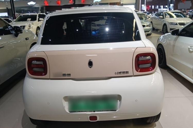 Used ORA Black Cat 2021 351 km Luxury Version Rear