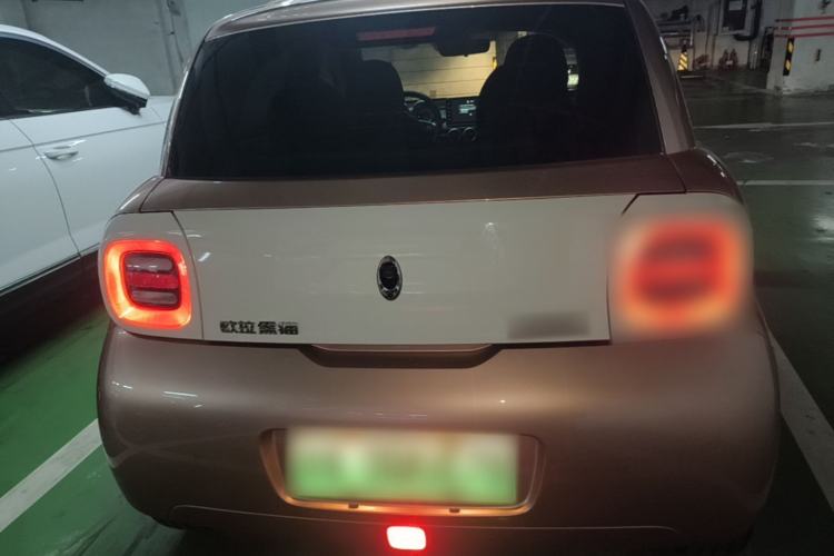 Used ORA Black Cat 2021 351 km Luxury Version Rear