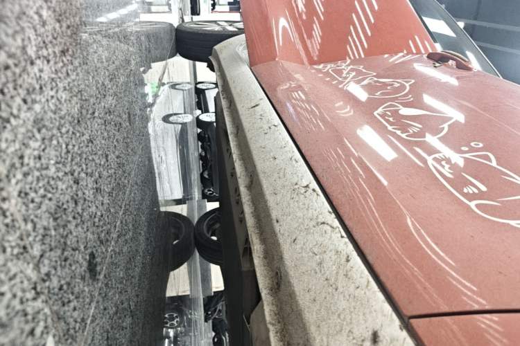 Used ORA Black Cat 2021 351 km Luxury Version Right Side Sill