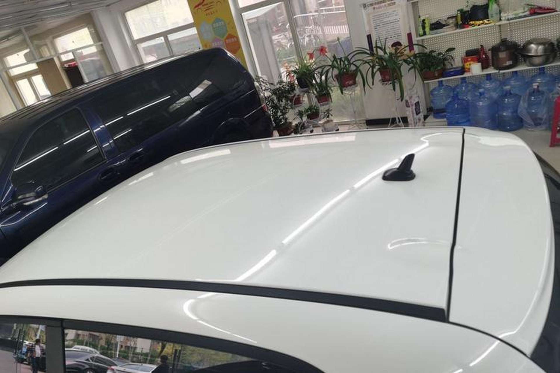 Used ORA Black Cat 2021 301 km Basic Version Roof