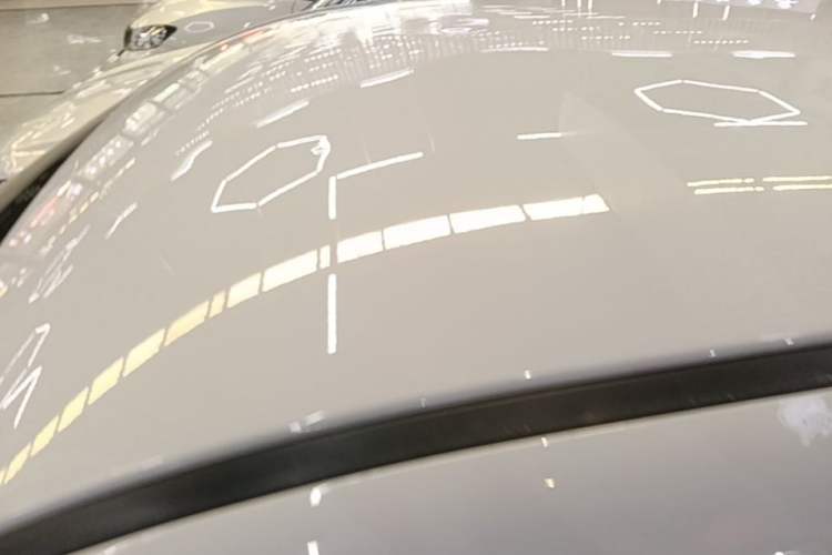 Used ORA Black Cat 2021 351 km Luxury Version Roof