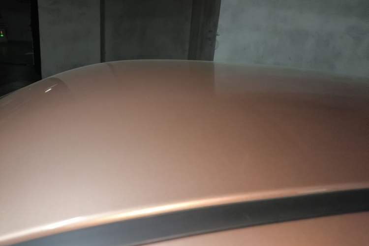 Used ORA Black Cat 2021 351 km Luxury Version Roof
