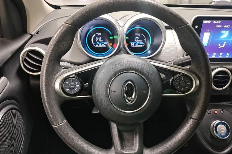 Used ORA Black Cat 2021 351 km Luxury Version Steering Wheel