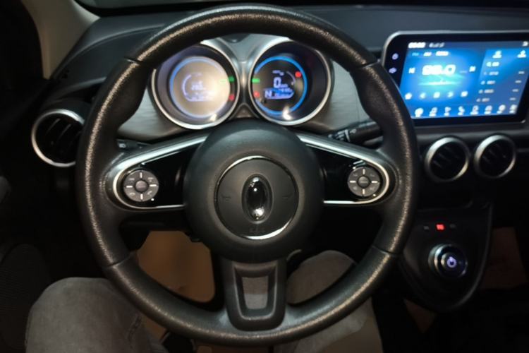 Used ORA Black Cat 2021 351 km Luxury Version Steering Wheel
