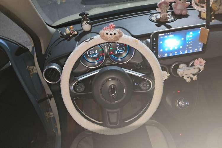 Used ORA Black Cat 2021 351 km Luxury Version Steering Wheel