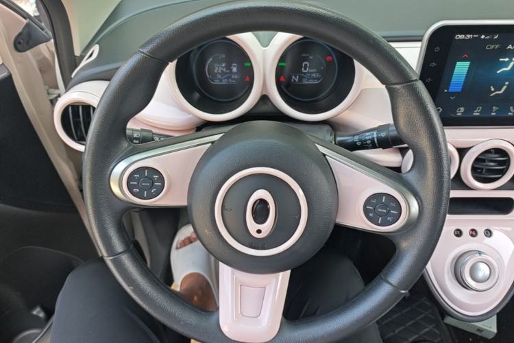 Used ORA Black Cat 2021 351 km Luxury Version Steering Wheel