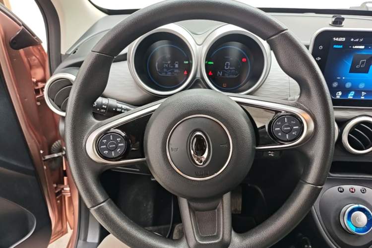 Used ORA Black Cat 2021 351 km Standard Version Steering Wheel