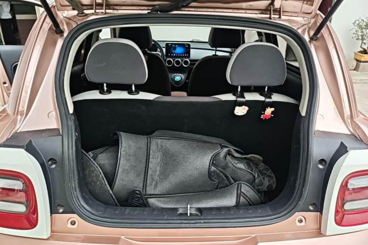 Used ORA Black Cat 2021 351 km Standard Version Trunk
