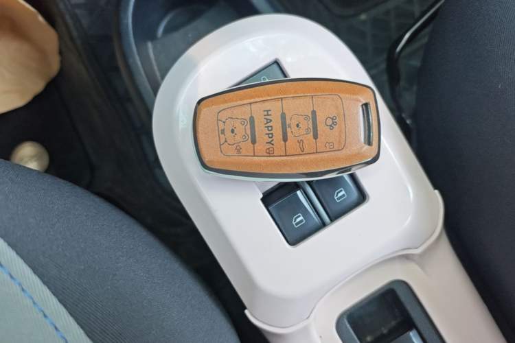 Used ORA Black Cat 2021 351 km Luxury Version Vehicle Key