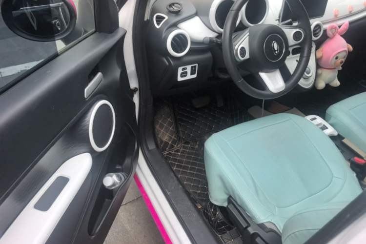 Used ORA Black Cat 2022 Updated Version 301 km Cute Pet Edition Lithium Iron Phosphate Driver Seat