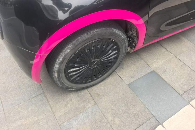 Used ORA Black Cat 2022 Updated Version 301 km Cute Pet Edition Lithium Iron Phosphate Left Front Wheel Hub