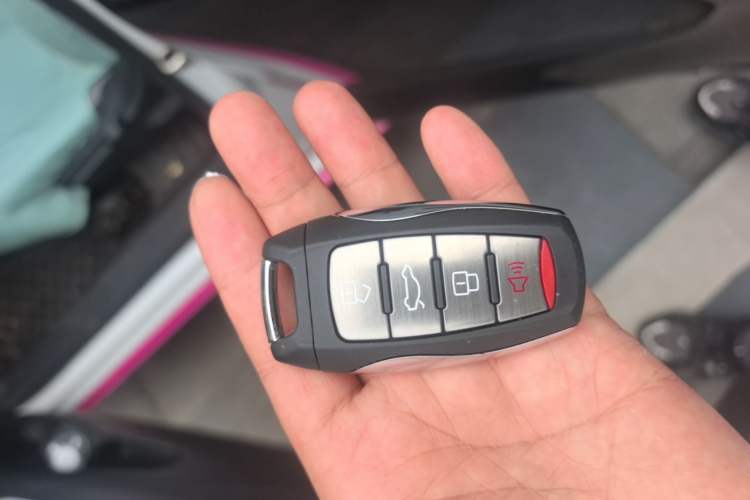 Used ORA Black Cat 2022 Updated Version 301 km Cute Pet Edition Lithium Iron Phosphate Vehicle Key