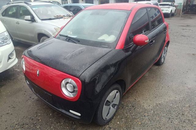Used ORA Black Cat 2022 301km Base Version Ternary Lithium