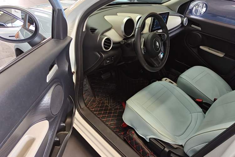 Used ORA Black Cat 2022 Updated Version 301 km Cute Pet Edition Lithium Iron Phosphate Driver Seat