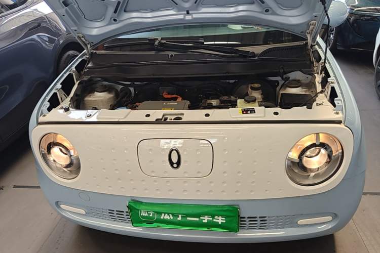 Used ORA Black Cat 2022 Updated Version 301 km Cute Pet Edition Lithium Iron Phosphate Engine Bay