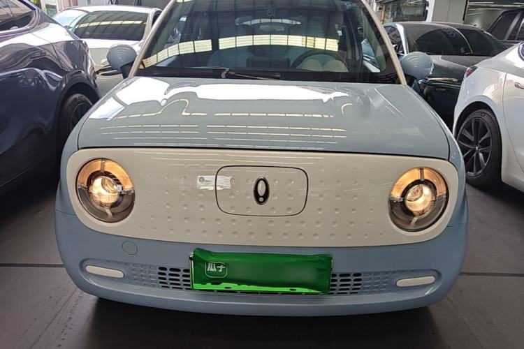 Used ORA Black Cat 2022 Updated Version 301 km Cute Pet Edition Lithium Iron Phosphate Front