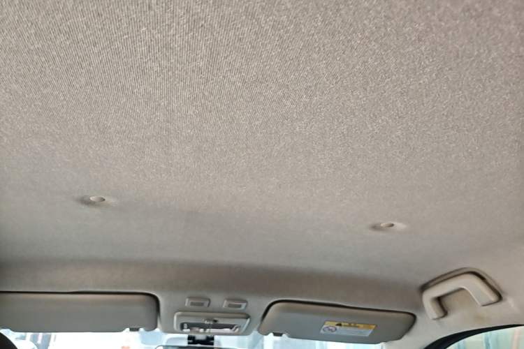 Used ORA Black Cat 2022 351 km Comfort Version Ternary Lithium Headliner