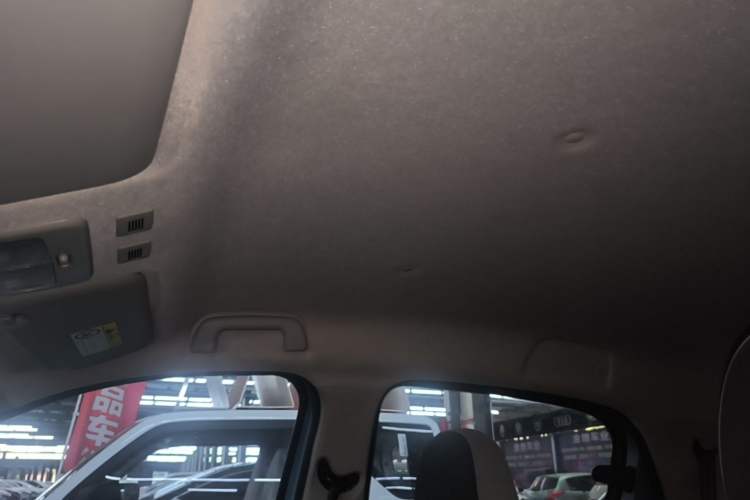 Used ORA Black Cat 2022 301km Base Version Ternary Lithium Headliner