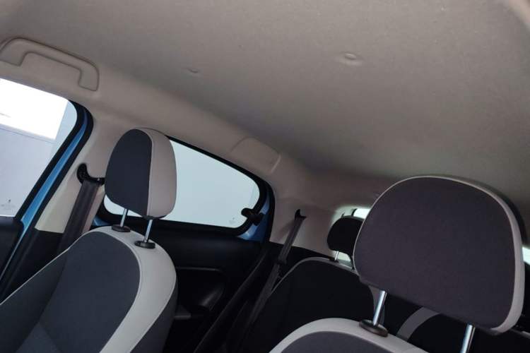 Used ORA Black Cat 2022 301km Base Version Ternary Lithium Headliner