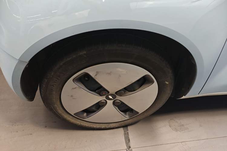 Used ORA Black Cat 2022 Updated Version 301 km Cute Pet Edition Lithium Iron Phosphate Left Front Wheel Hub