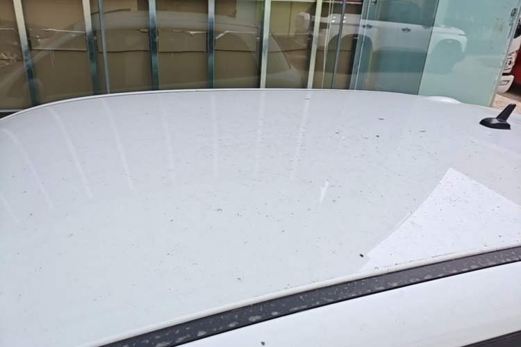 Used ORA Black Cat 2022 351 km Comfort Version Ternary Lithium Roof