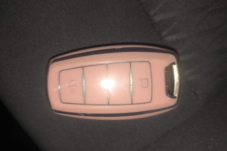Used ORA Black Cat 2022 301km Base Version Ternary Lithium Vehicle Key