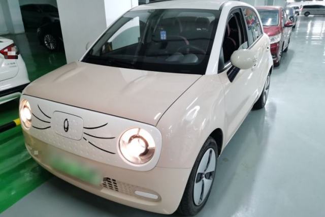 Used ORA Black Cat 2022 301km Base Version Ternary Lithium