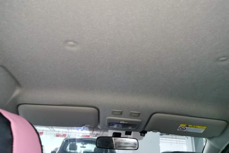 Used ORA Black Cat 2022 301km Base Version Ternary Lithium Headliner