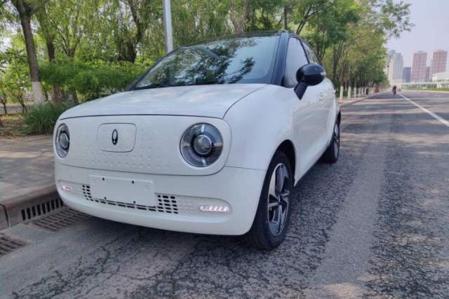 Used ORA Black Cat 2022 351 km Range Comfort Version Ternary Lithium