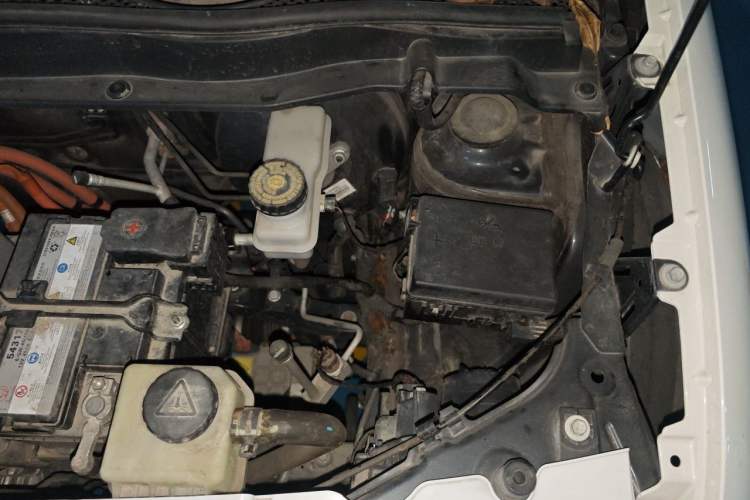 Used ORA Black Cat 2022 Updated Version 301 km Cute Pet Edition Lithium Iron Phosphate Engine Bay Left