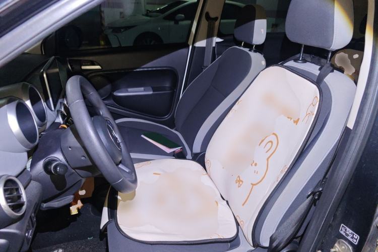 Used ORA Black Cat 2022 Updated Version 301 km Cute Pet Edition Lithium Iron Phosphate Left Front Seat