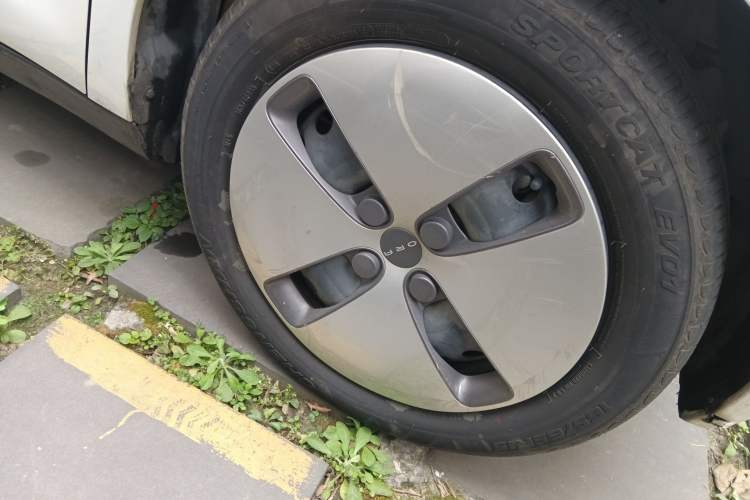 Used ORA Black Cat 2022 301km "Cute Pet" Version – Lithium Iron Phosphate Right Front Wheel Hub