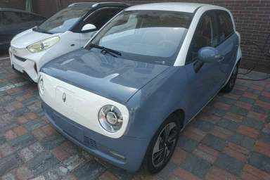Used ORA Black Cat 2022 351 km Range Comfort Version Ternary Lithium