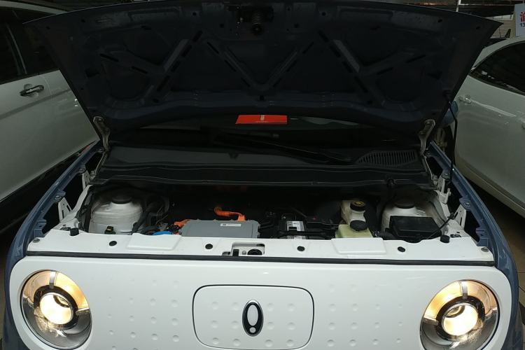 Used ORA Black Cat 2022 301km "Cute Pet" Version – Lithium Iron Phosphate Engine Bay