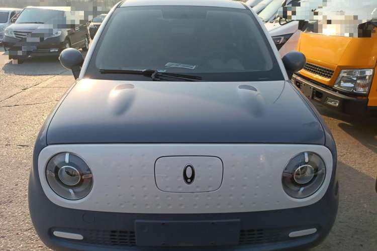 Used ORA Black Cat 2022 301km Base Version Ternary Lithium Front