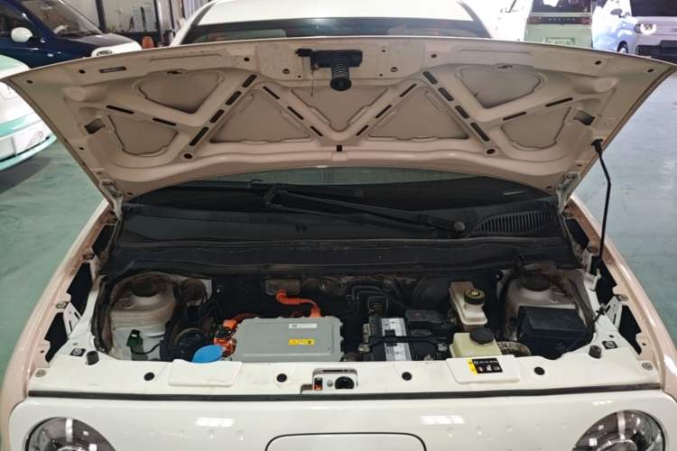Used ORA Black Cat 2022 Updated Version 301 km Cute Pet Edition Lithium Iron Phosphate Engine Bay