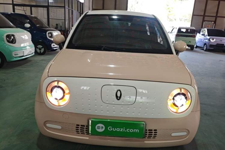 Used ORA Black Cat 2022 Updated Version 301 km Cute Pet Edition Lithium Iron Phosphate Front