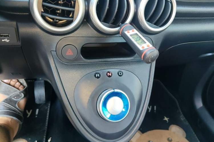 Used ORA Black Cat 2022 301km "Cute Pet" Version – Lithium Iron Phosphate Gear Lever