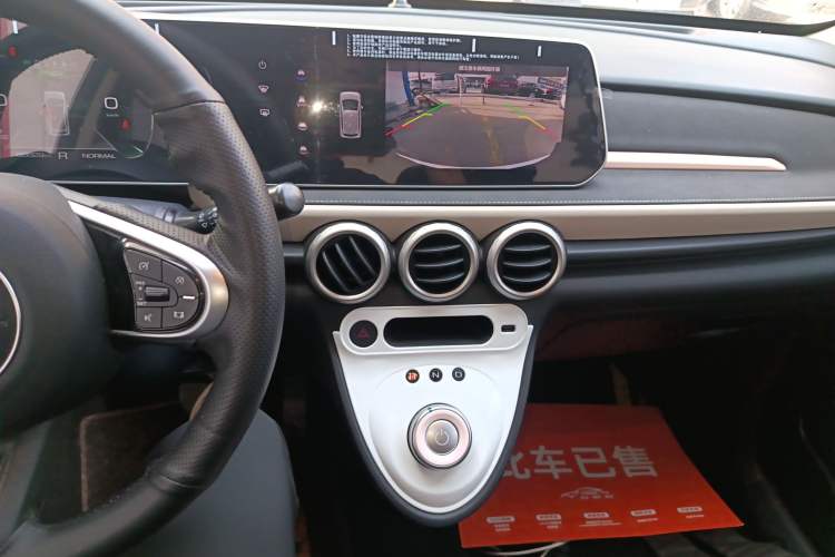 Used ORA Black Cat 2022 351 km Range Luxury Version Lithium-Ion Battery Audio And AC Panel