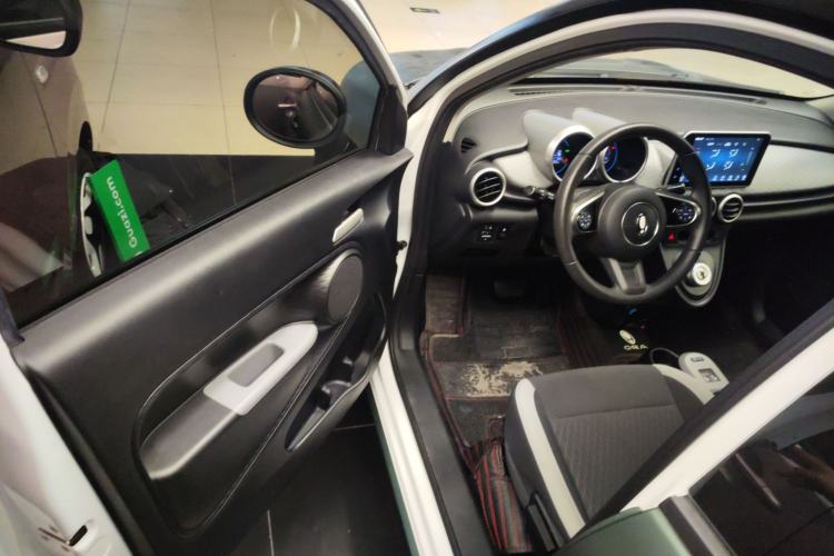 Used ORA Black Cat 2022 Updated Version 301 km Cute Pet Edition Lithium Iron Phosphate Driver Seat
