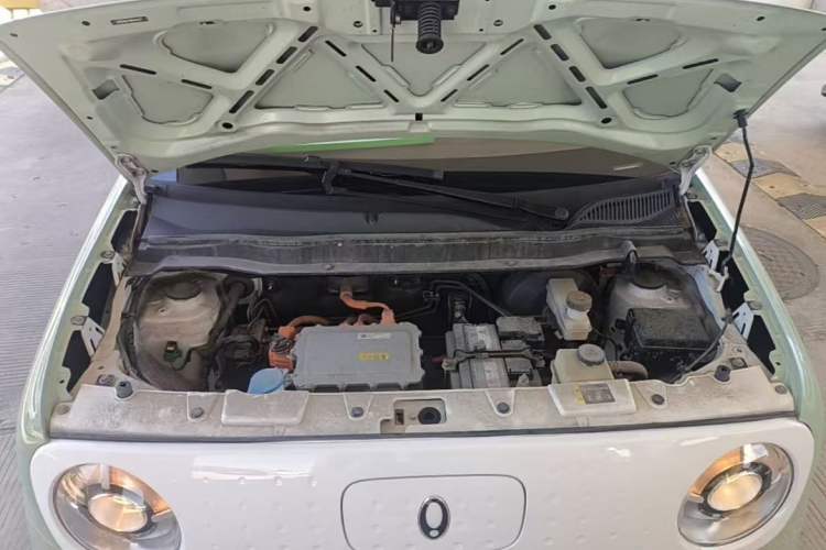 Used ORA Black Cat 2022 Updated Version 301 km Cute Pet Edition Lithium Iron Phosphate Engine Bay