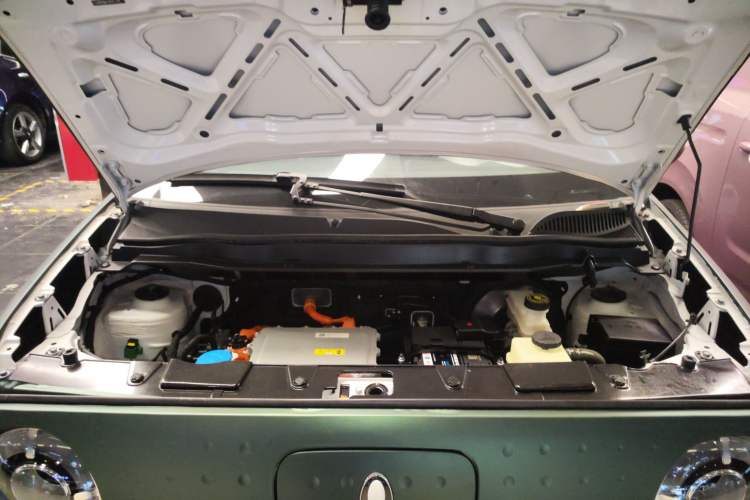 Used ORA Black Cat 2022 Updated Version 301 km Cute Pet Edition Lithium Iron Phosphate Engine Bay