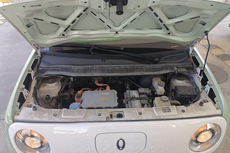 Used ORA Black Cat 2022 Updated Version 301 km Cute Pet Edition Lithium Iron Phosphate Engine Bay