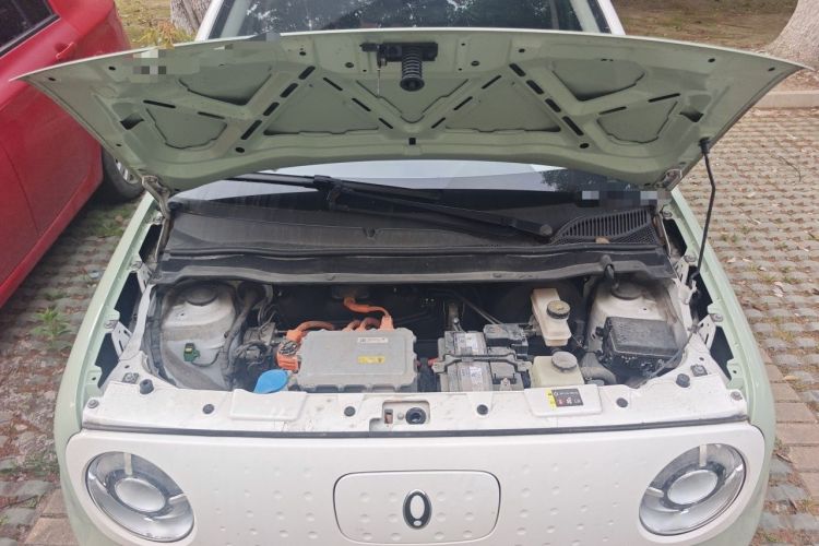 Used ORA Black Cat 2022 Updated Version 301 km Cute Pet Edition Lithium Iron Phosphate Engine Bay