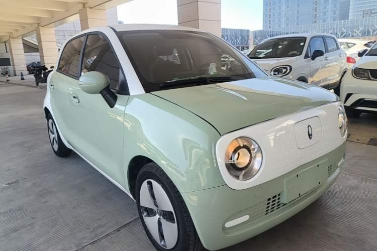 Used ORA Black Cat 2022 Updated Version 301 km Cute Pet Edition Lithium Iron Phosphate Exterior 1