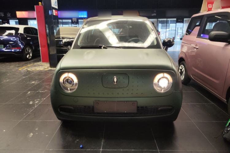 Used ORA Black Cat 2022 Updated Version 301 km Cute Pet Edition Lithium Iron Phosphate Front