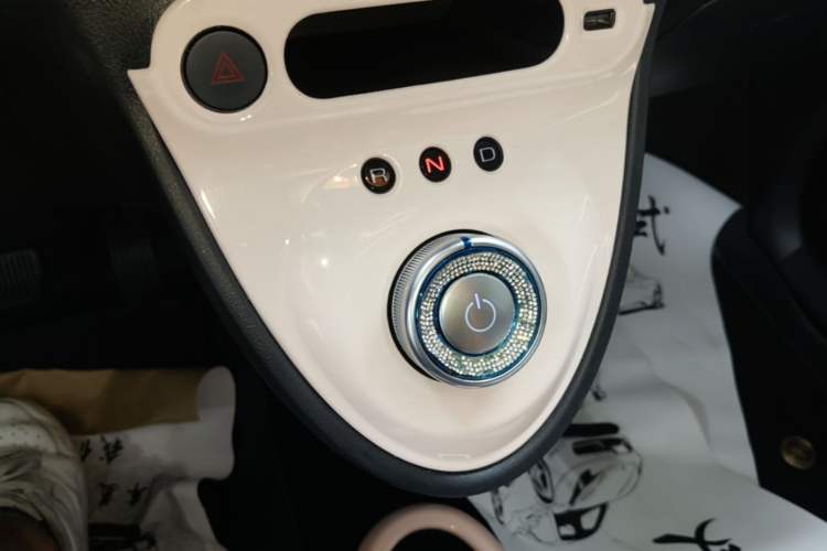Used ORA Black Cat 2022 301km "Cute Pet" Version – Lithium Iron Phosphate Gear Lever