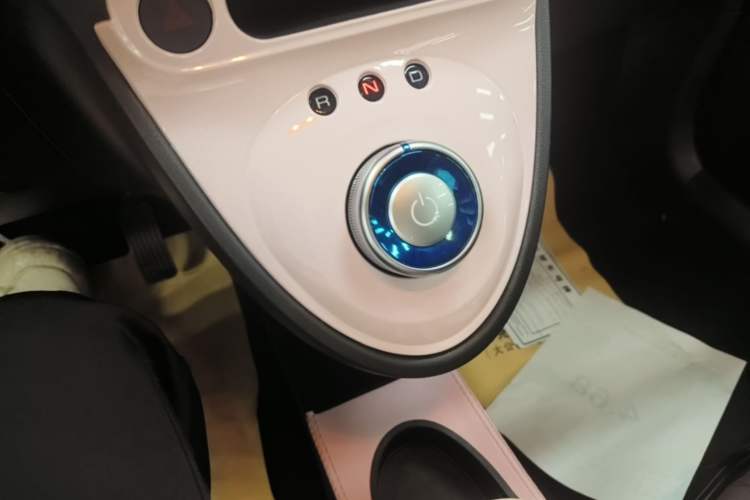 Used ORA Black Cat 2022 405 km Long-Range Version Ternary Lithium Gear Lever