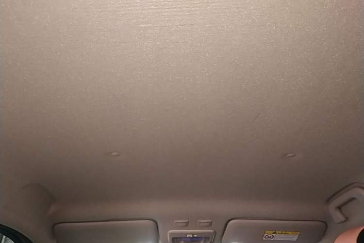 Used ORA Black Cat 2022 351 km Range Comfort Version Ternary Lithium Headliner