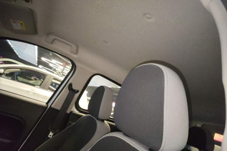 Used ORA Black Cat 2022 Updated Version 301 km Cute Pet Edition Lithium Iron Phosphate Headliner